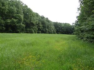 Pohľad na TML_6510_119