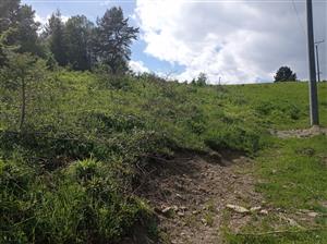 odstraňované kroviny popod elektrovod