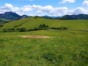 degradované časti v miestach prikrmovania a napájania
