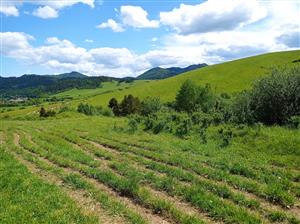 prte po pohybe HD a pasúci sa HD