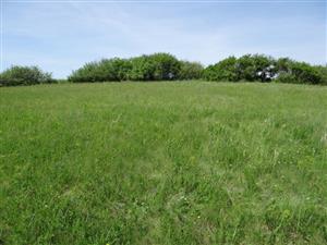 Pohľad na TML_6510_109