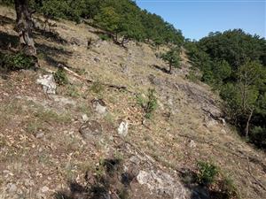 Xerotermné porasty na strmých kamenistých andezitových svahoch s plytkou pôdou - celkový pohľad