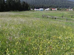 TML_6510_372, 2014_06_05, č. 01