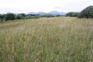 pohlad na lokalitu SZ smerom 