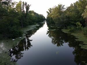 Pohľad na hlavný tok rieky Nitry, TML Alúvium Starej Nitry, foto: 29.6.2022, J.Lengyel.