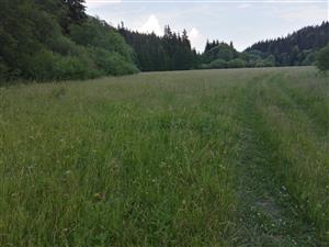 Cerlkový pohľad na lokalitu