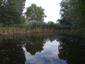 TML SEV Dropie, jazierko, foto: 4.7.2022, J.Lengyel