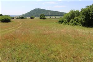 Záber na monitorovaný biotop. 