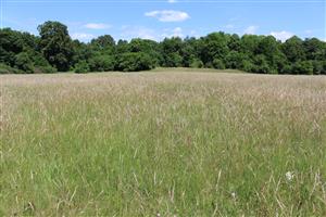 Záber na monitorovaný biotop. 