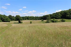 Záber na monitorovaný biotop. 