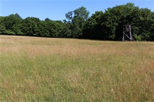 Záber na monitorovaný biotop. 