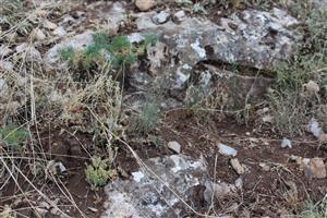 Záber na monitorovaný biotop. 