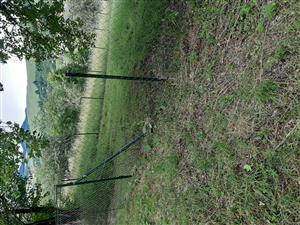 oplotená, vypasená ťasť lokality