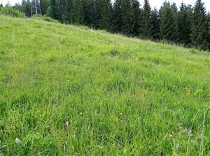 najkrajšia časť TML