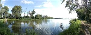 Pohľad na severnú časť TML Veľkoblahovské rybníky, foto: 11.7.2022, J.Lengyel.