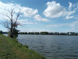 Pohľad na strednú časť TML Veľkoblahovské rybníky, foto: 11.7.2022, J.Lengyel.
