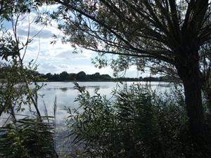 Pohľad na južnú časť TML Veľkoblahovské rybníky, foto: 11.7.2022, J.Lengyel.