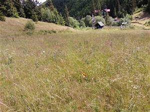 Celkový pohľad na lokalitu