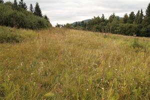 pohlad na Z enklavu Z smerom