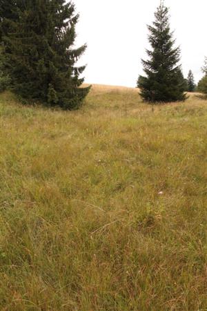 pohlad na hornu cast V enklavy  smerom na J