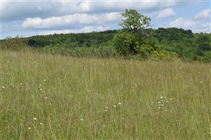 Celkový pohľad na TML na pravej strane cesty smerom na Ábelovú