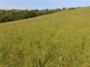 Južná časť lokality