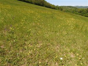 Severná časť lokality.