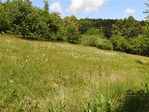 Pohľad na lokalitu TML_7230_300 z juhu na sever.