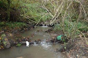 Dolná časť TML na potoku Hrlica, zakalenie vody je po prejazdu naklaďakov s kulatinou cez potok.