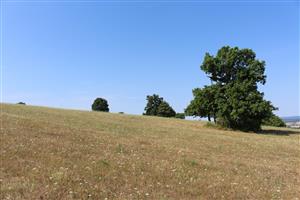 Záber na monitorovaný biotop. 