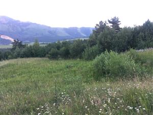 pohlad na nizsie polozenu JV cast slatiny v smere na (J)JV