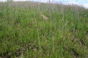 Pohľad na centrálnu časť lokality