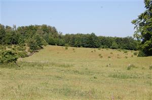 pohľad na lokalitu - pasená časť - oplôtok