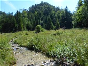 pohľad na lokalitu z J