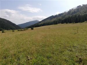 Stredná časti lokality