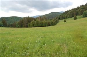 Pohľad na lokalitu 1