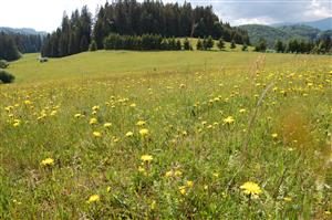 Pohľad na lokalitu 2