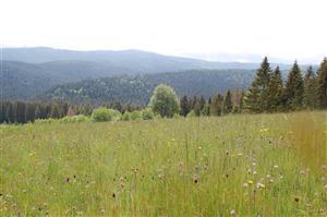 02 Pohľad na lokalitu II.