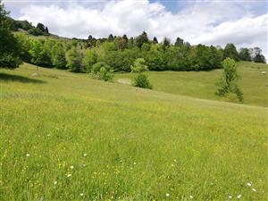 01 Pohľad na lokalitu