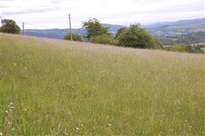 02 Pohľad na lokalitu II.