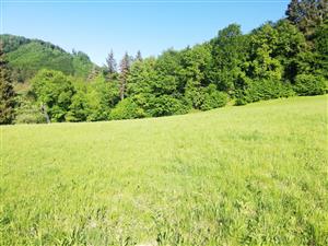 04 Pohľad na lokalitu II.