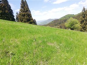 02 Pohľad na lokalitu II.