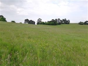 01 Pohľad na lokalitu I.