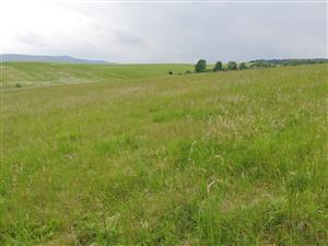 03 Pohľad na lokalitu III.