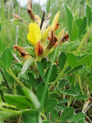 05 Pohľad do biotopu