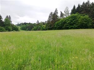 02 Pohľad na lokalitu II.