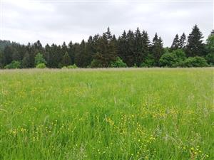 03 Pohľad na lokalitu III.