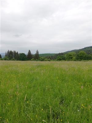 04 Pohľad na lokalitu IV.