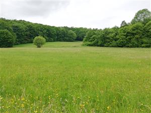 01 Pohľad na lokalitu I.