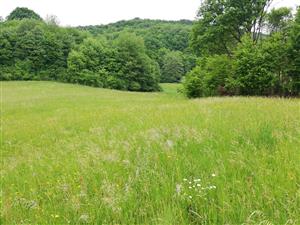 02 Pohľad na lokalitu II.